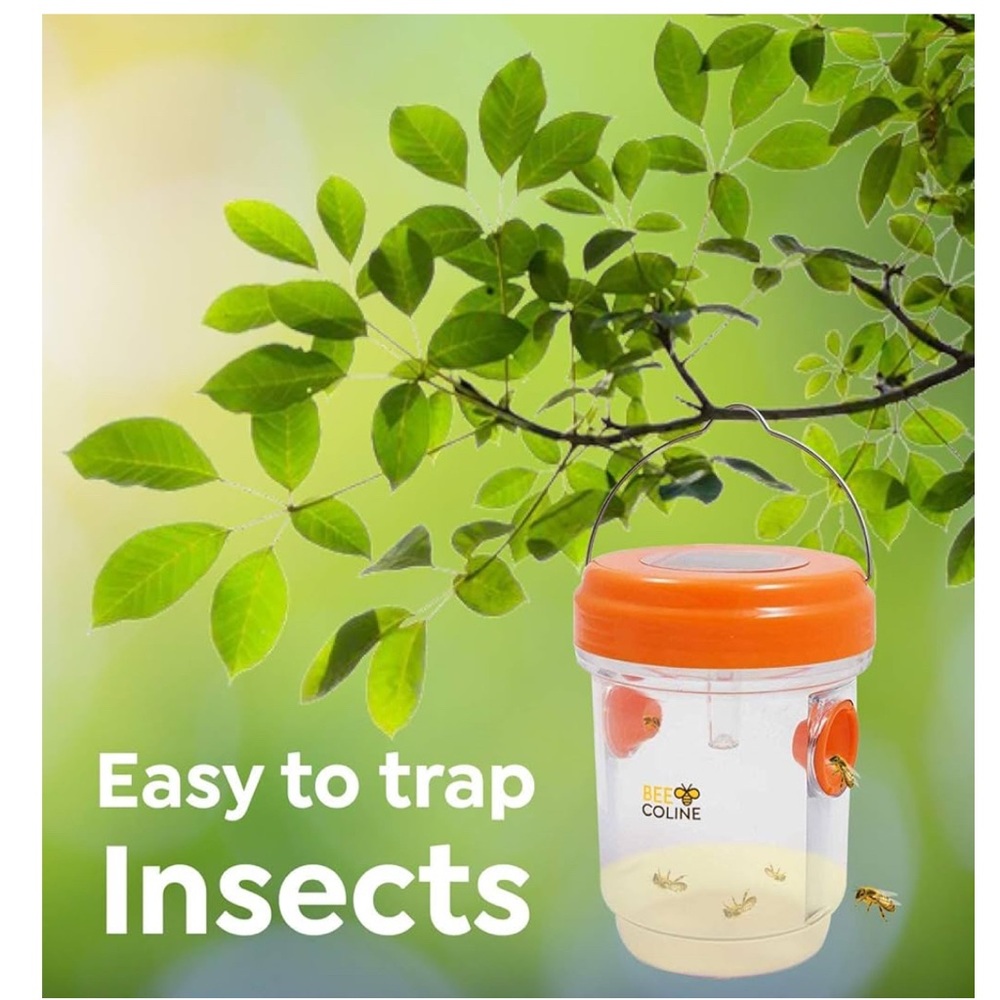 Orange Insect Trap